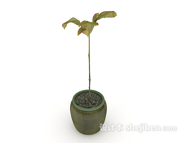 设计本单株植物盆栽3d模型下载