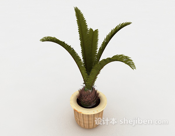 现代风格铁树植物装饰3d模型下载