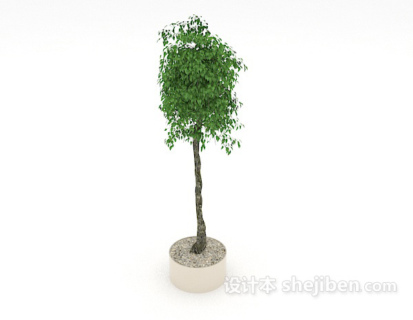 免费葱茏绿色盆景3d模型下载