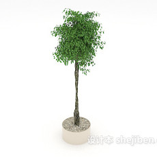 葱茏绿色盆景3d模型下载