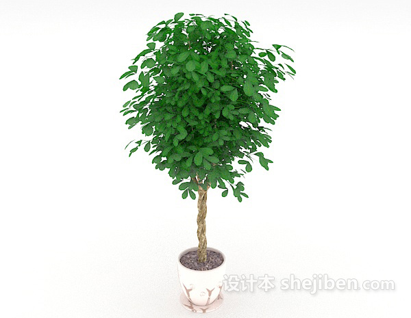 绿色居家盆栽3d模型下载
