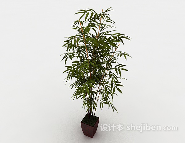 免费庭院竹子盆景3d模型下载