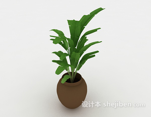 设计本居家绿色盆栽3d模型下载