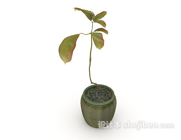 单株植物盆栽3d模型下载