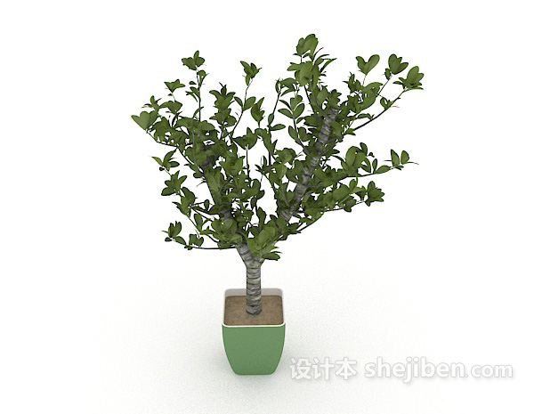 现代风格绿色花盆植株3d模型下载