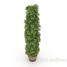 漂亮盆栽3d模型下载