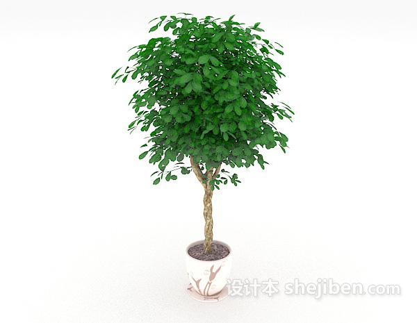免费绿色居家盆栽3d模型下载