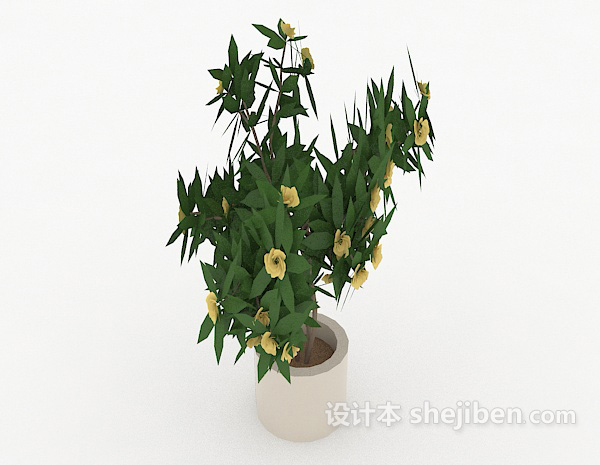 现代风格居家简单室内盆栽3d模型下载