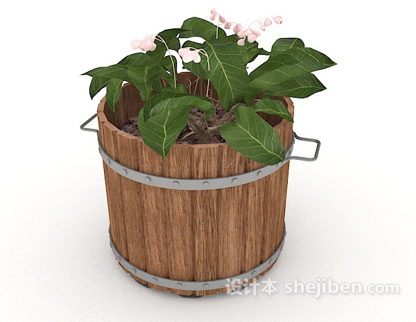 现代风格观赏性园艺盆栽3d模型下载