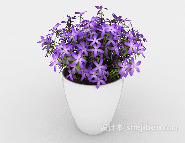 设计本紫色小盆栽3d模型下载