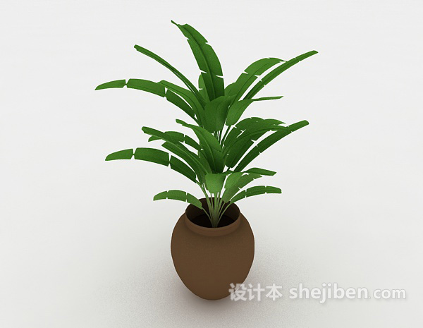 现代风格居家绿色盆栽3d模型下载