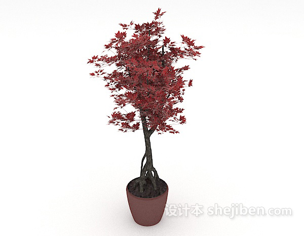 红叶盆栽装饰3d模型下载
