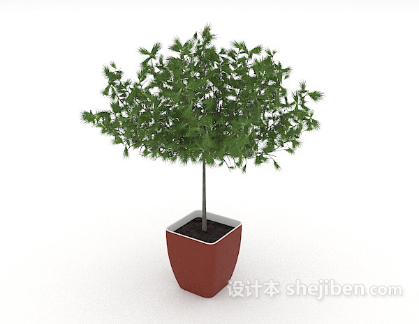 现代风格居家绿色简单盆栽3d模型下载