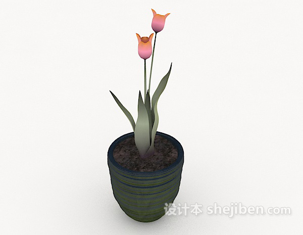 设计本现代鲜花盆栽3d模型下载
