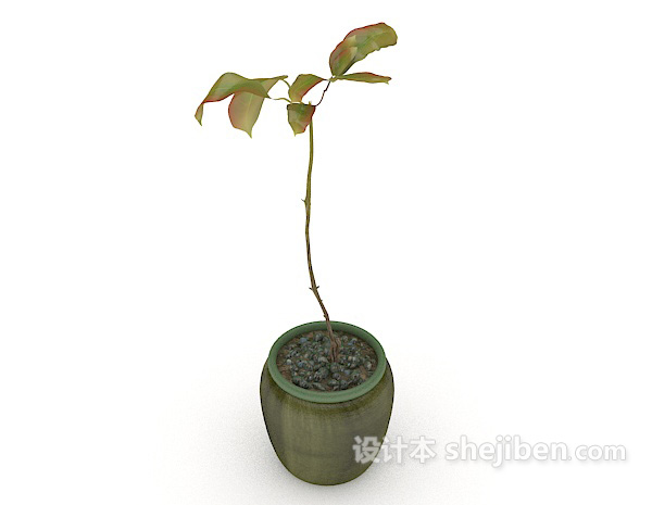 免费单株植物盆栽3d模型下载