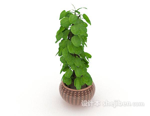 绿叶室内盆栽3d模型下载