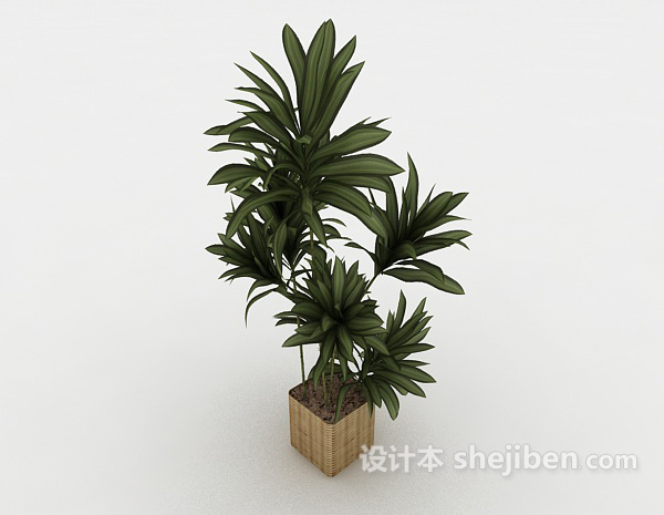 现代风格简单装饰盆栽3d模型下载