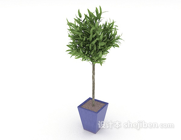 免费绿色简单盆栽3d模型下载