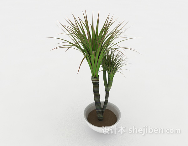 现代风格绿色室内简单盆栽3d模型下载