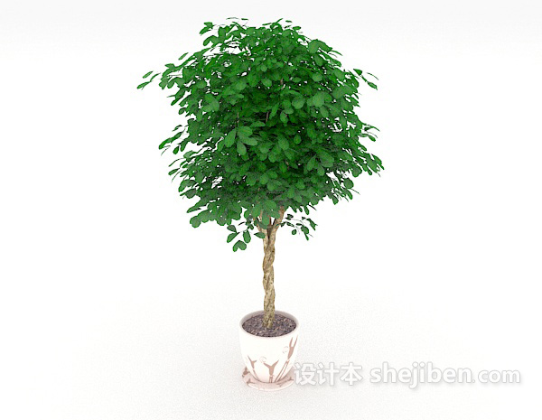 现代风格绿色居家盆栽3d模型下载