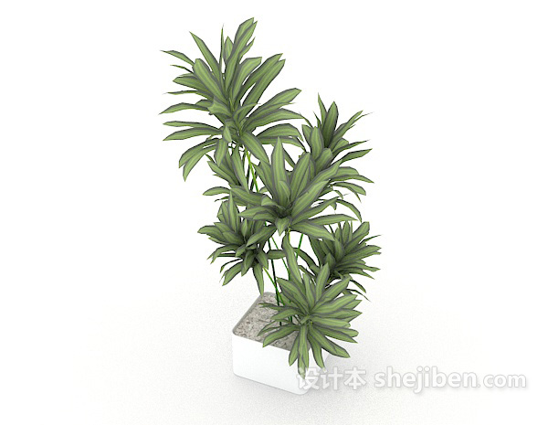 设计本居家室内盆栽3d模型下载