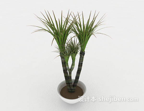 绿色室内简单盆栽3d模型下载
