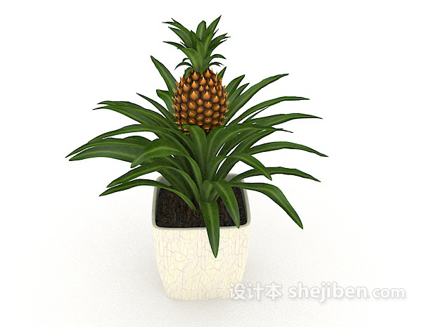 免费家居装饰植物3d模型下载
