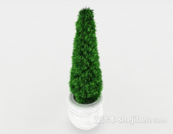 免费绿色盆栽装饰3d模型下载