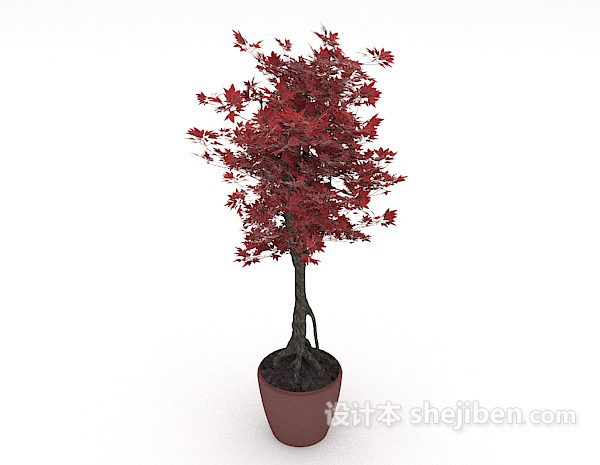 设计本红叶盆栽装饰3d模型下载