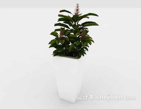 现代风格室内绿色装饰盆栽3d模型下载