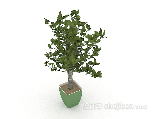 设计本绿色花盆植株3d模型下载