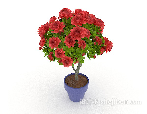 红色室内盆栽3d模型下载