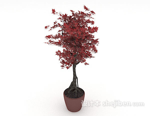免费红叶盆栽装饰3d模型下载