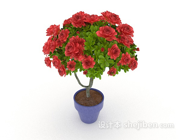 现代风格红色室内盆栽3d模型下载