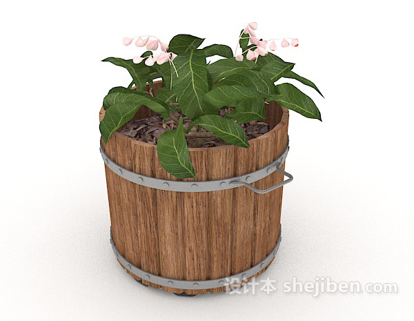 免费观赏性园艺盆栽3d模型下载