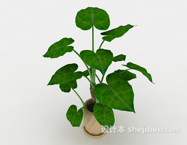 设计本绿色室内盆栽3d模型下载