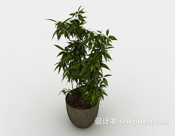 免费室内观赏植物3d模型下载