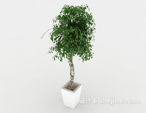 现代风格装饰性绿色盆栽3d模型下载