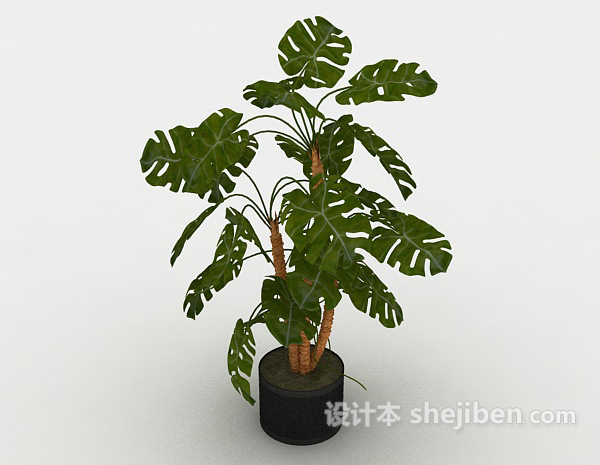 绿色装饰盆栽3d模型下载