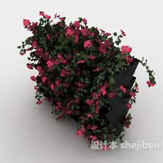 室内植物装饰3d模型下载