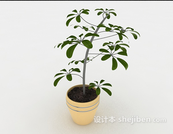 简单庭院盆栽3d模型下载
