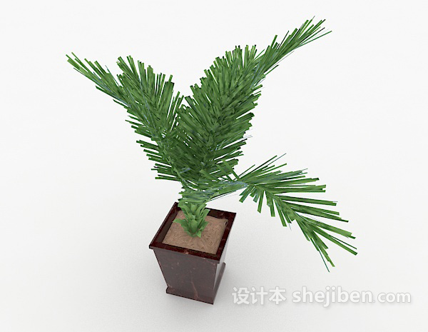 免费装饰性铁树盆景3d模型下载