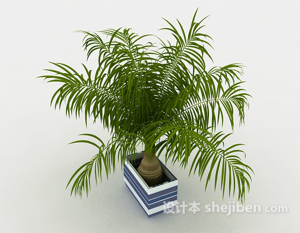 葱茏室内植物3d模型下载