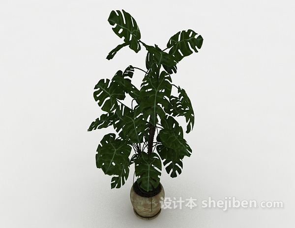 绿色室内植株3d模型下载