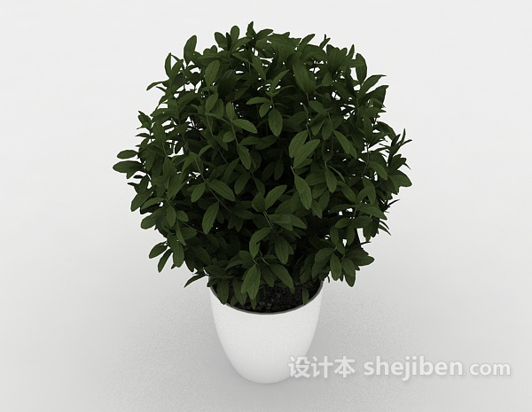 免费居家绿色小盆栽3d模型下载
