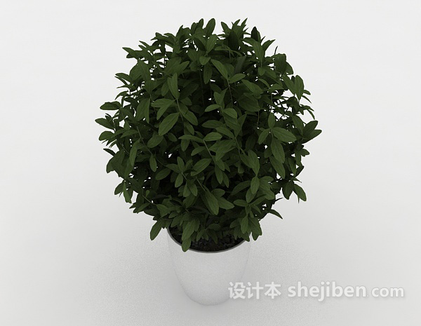 室内盆栽装饰3d模型下载