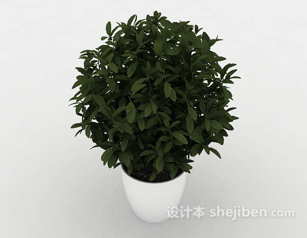 现代风格居家绿色小盆栽3d模型下载