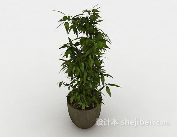 设计本室内观赏植物3d模型下载