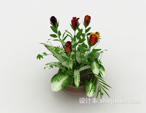 免费开花盆栽植物3d模型下载