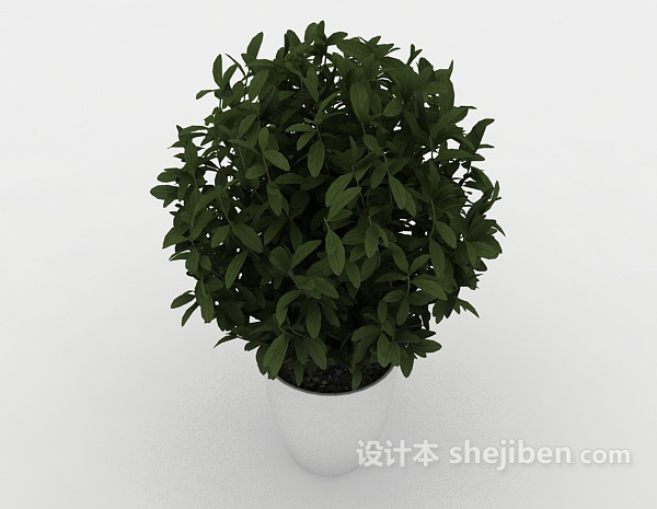 现代风格室内盆栽装饰3d模型下载